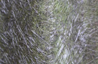 Weare fibreglass roof work